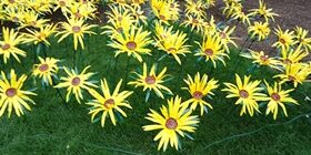 Подсолнух из пластиковой бутылки своими руками