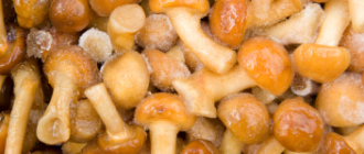 Что приготовить из замороженных грибов