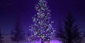 Песни в ночь на Рождество