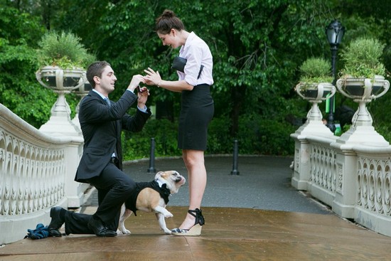 09 Предложение руки и сердцаРис. 15