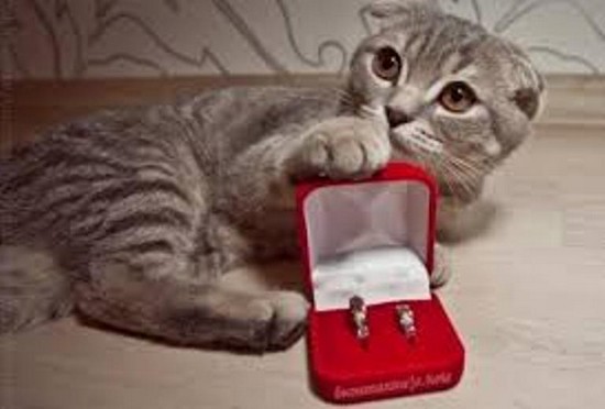 09 Предложение руки и сердцаРис. 3