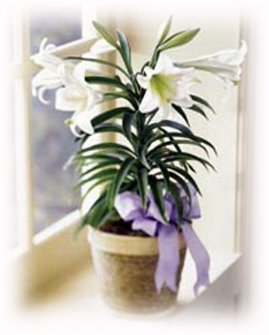 09 Предложение руки и сердцарис. 6