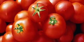 Способы доставки томатов