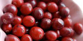 Мочение плодов и ягод