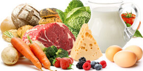 Клубнеплоды, зелень, бахчевые культуры, корнеплоды, овощи в кормлении собак.