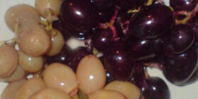 Мочение ягод и плодов