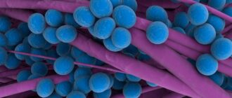 Общие сведения, советы и рекомендации по анализам на скрытые инфекции