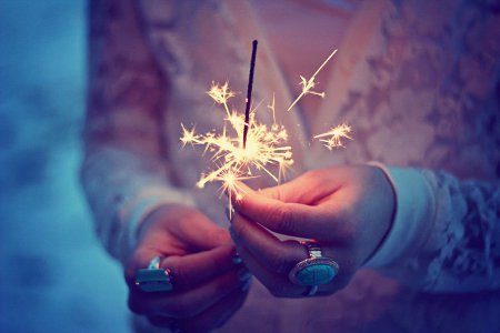 2015 год какого животного