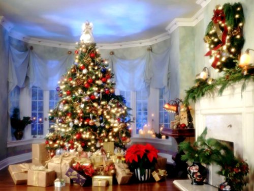 2015 год какого животного