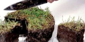 Пай на землю.