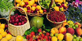 Технологии консервирования овощей