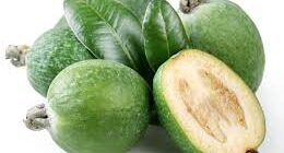 Как есть фейхоа: способы, как правильно едят фейхоа