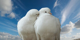 Чем можно заняться с парнем