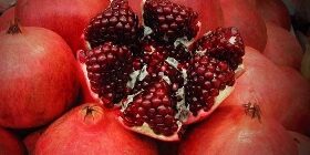 Все о гранате