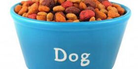 Гормоны для собак