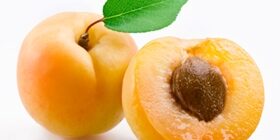 Когда созревают абрикосы