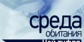 Среда обитания. Чей туфля
