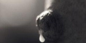 Галакторея