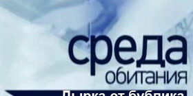 Среда обитания. Дырка от бублика смотреть онлайн