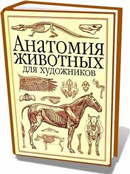 Как нарисовать лошадь поэтапно