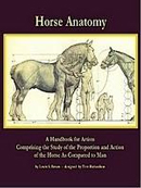 Как нарисовать лошадь поэтапно