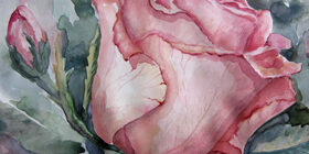 Как нарисовать розу карандашом поэтапно? Как нарисовать букет роз?