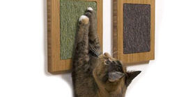 Как отучить кошку царапать обои