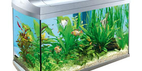 Как сделать аквариум своими руками фото