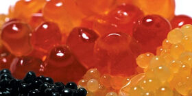 Как солить/засолить икру щуки (щучью), горбуши, форели, черную, красную в домашних условиях