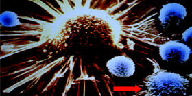 ОПУХОЛЕВЫЕ АНТИГЕНЫ