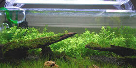 Освещение аквариума своими руками фото