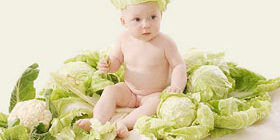 Откуда берутся дети фото. дети в капусте фото