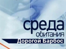 Среда обитания Дорогой Барбос Среда обитания Дорогой Барбос смотреть онлайн Sreda-obitaniya-Dorogoi-Barbos