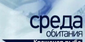 Среда обитания Крашеная рыба