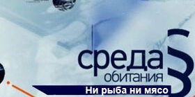 Среда обитания Ни рыба ни мясо смотреть онлайн видео, фото