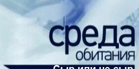 Среда обитания. Сыр или не сыр