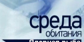 Среда обитания Ядерная рыба смотреть онлайн
