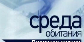 Среда обитания. Ядовитая посуда смотреть онлайн все выпуски