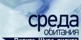 Среда обитания золото смотреть онлайн фото видео