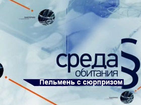 Пельмень с сюрпризом Среда обитания. Пельмень с сюрпризом фото