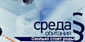 Среда обитания. Сколько стоят роды фото бесплатно