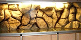 Задний фон для аквариума своими руками - покраска