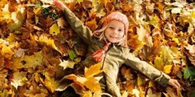 Осенние каникулы: отдых в детском лагере