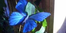 Бабочка из пластиковой бутылки своими руками