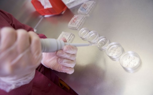 Делать ли ЭКО? Все «за» и «против» Делать ли ЭКО? Все «за» и «против»