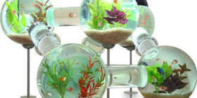 Дизайн аквариума своими руками фото