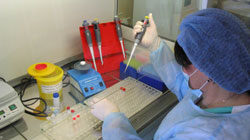 Гарднерелла, как лечить