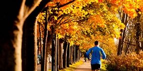 Утренняя пробежка: полезен ли бег по утрам