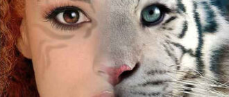 И даже такое для фотошопа не проблема