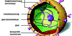 Инфекция, вызванная вирусом гепатита В у новорожденных